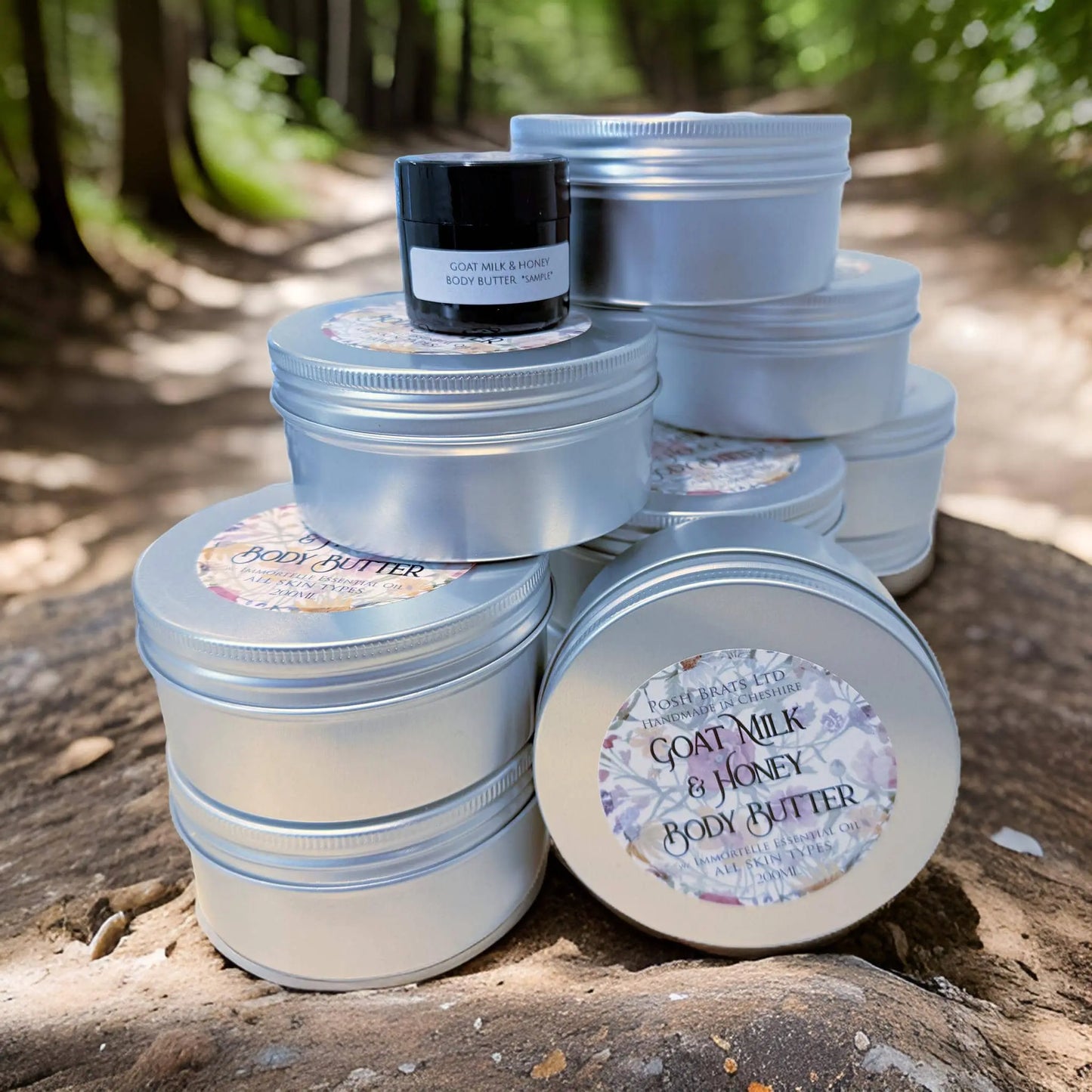 Posh Brats Goat Milk & Honey Body Butter tins sit on a tree stump in a forest, ideal for skincare routines. The sunlit path and lush greenery in the background add to its natural, serene moisturizing appeal.