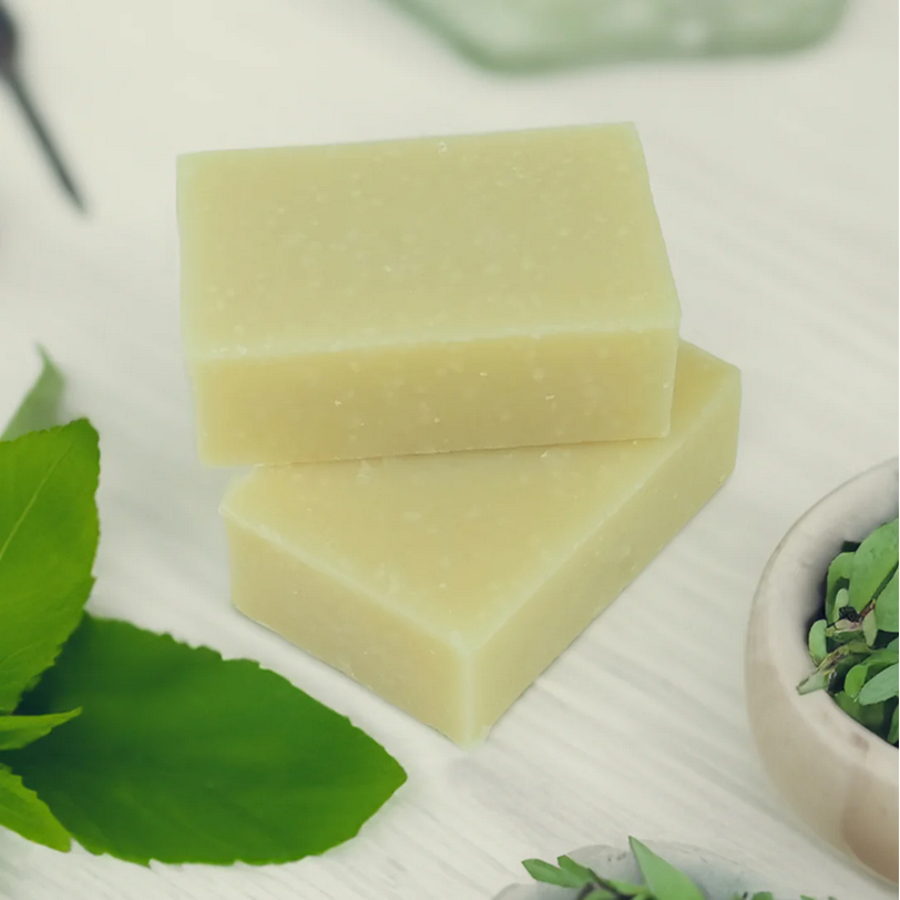 The Invigorating Eucalyptus Mint Natural Shampoo Bar Posh Brats